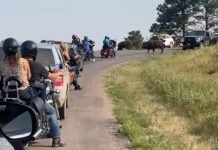 South Dakota COVID-19 Cases Skyrocket After Sturgis Motorcycle Rally