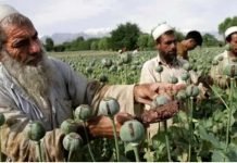 US turned Afghanistan into world drug lab in last 20 years: Russia’s security chief
