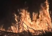 10 Million Acres of Siberia Are Burning