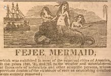 Maryland Museum Investigates Mythology of Mermaids
