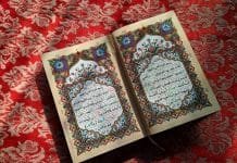 Jihadists flood New pro-Trump social network with propaganda