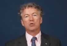 ‘Weirdo’ Rand Paul’s medical expertise trashed on CNN: ‘A car mechanic’ knows more about viruses than he does