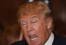 Grifter Pompeo and the Missing $6000 Bottle of Fake Scotch