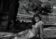 COVID Deaths: Alabama’s Population to Shrink for First Time Due to Pandemic