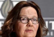 CIA Director Gina Haspel said Trump’s post-election behavior was ‘insanity’ and he was ‘acting out like a 6-year-old with a tantrum,’ book says