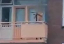 2 killed, one injured in eastern Netherlands, suspect arrested, reportedly armed with crossbow