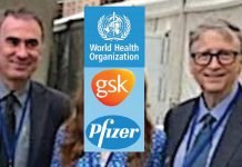 Pandemic Emergency. Storm in WHO: Mysterious Farewell of the Deputy Director, Under Investigation in Italy