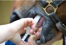 GOP Quackery: US inmates sue jail over ivermectin treatment for Covid as ‘medical experimentation’