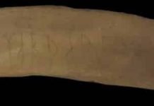 Decoding Medieval Runes