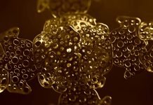 Plato’s Noble Lie Supports The Deep State’s Betrayal of Citizens