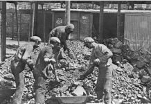 Historic Roots of the Donbass Problem Explained