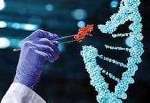 Scientists Sound Alarm as Gates, WEF Promote Gene-Editing Technology for Everything From Fake Meat to Designer Babies