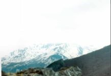 An intel drop on joy among the bad monkeys (updated)