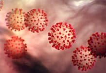 Helpful/Accurate: CV19 Prevention (audio)